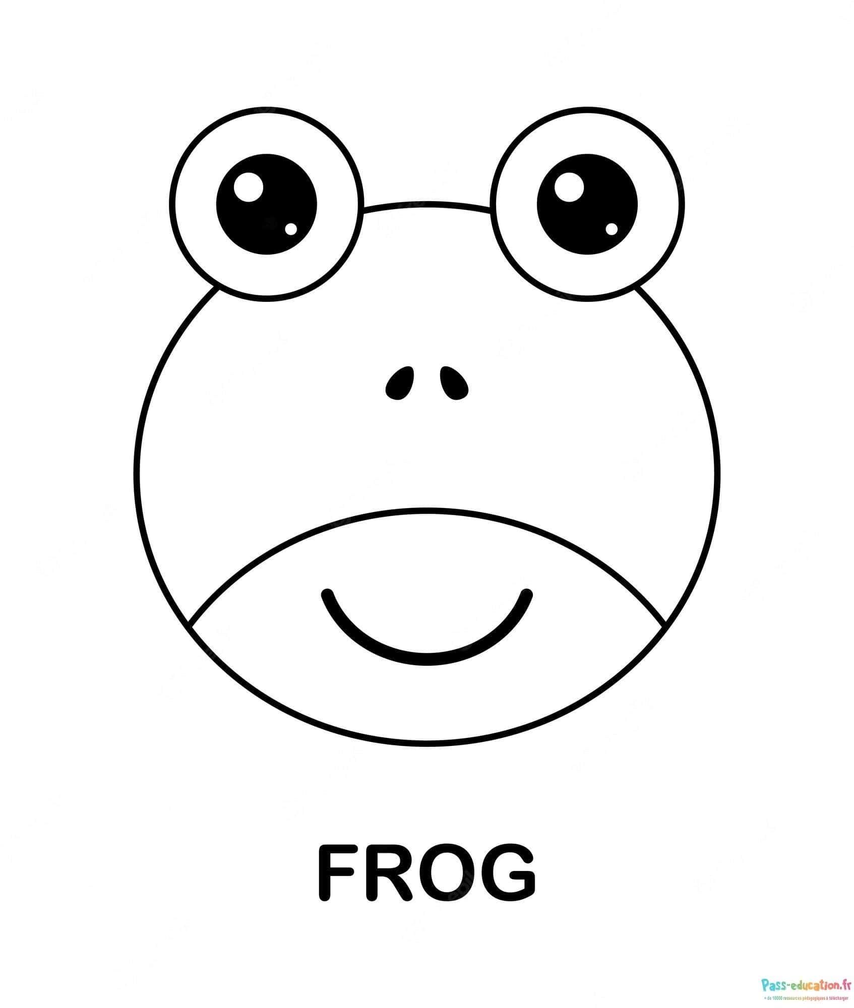 Coloriage Dessin grenouille à imprimer et colorier