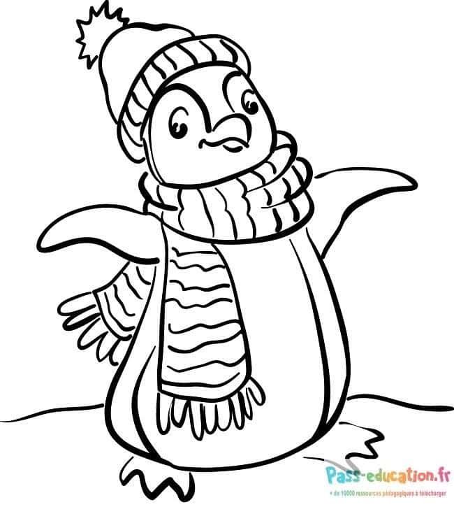 Coloriage Pingouin hiver à imprimer et colorier