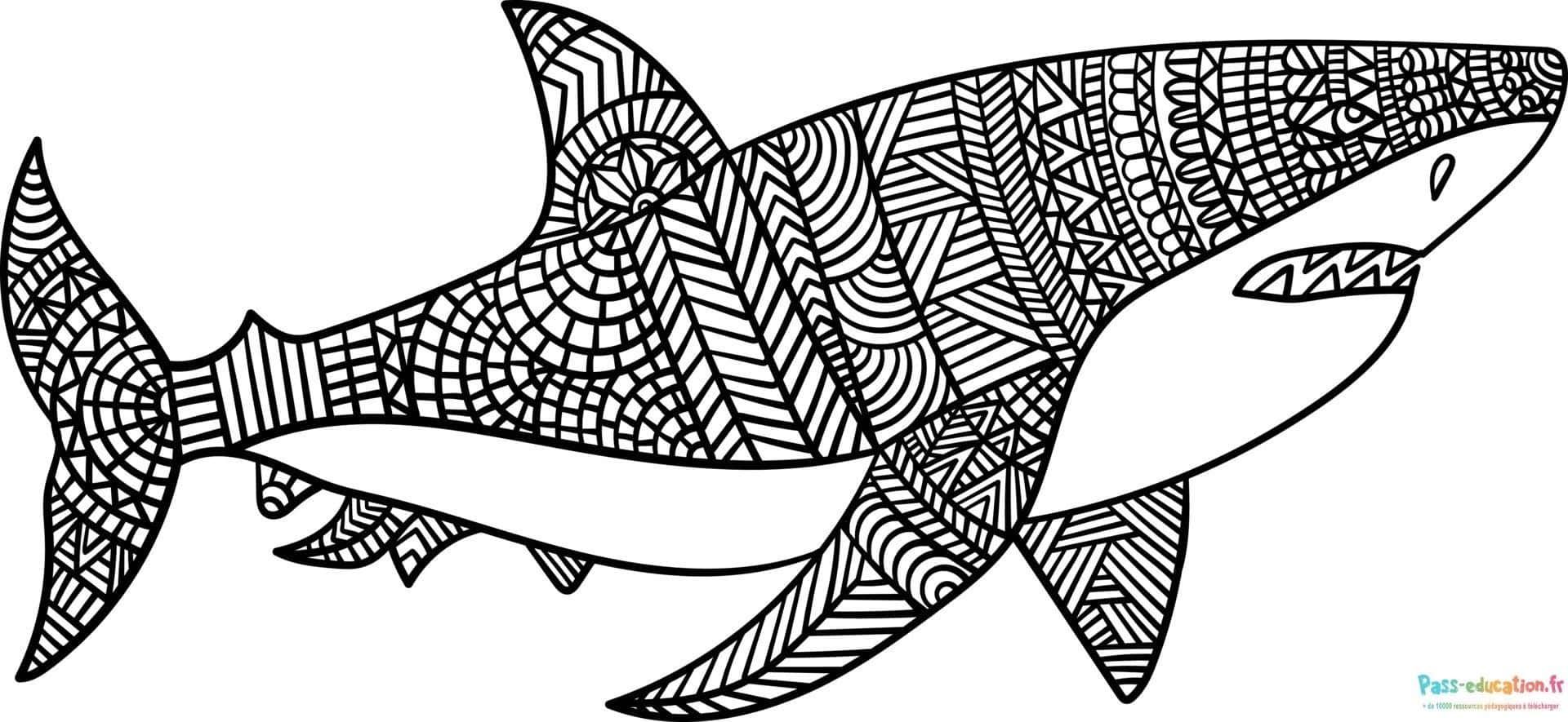 Coloriage Requin zentangle à imprimer et colorier