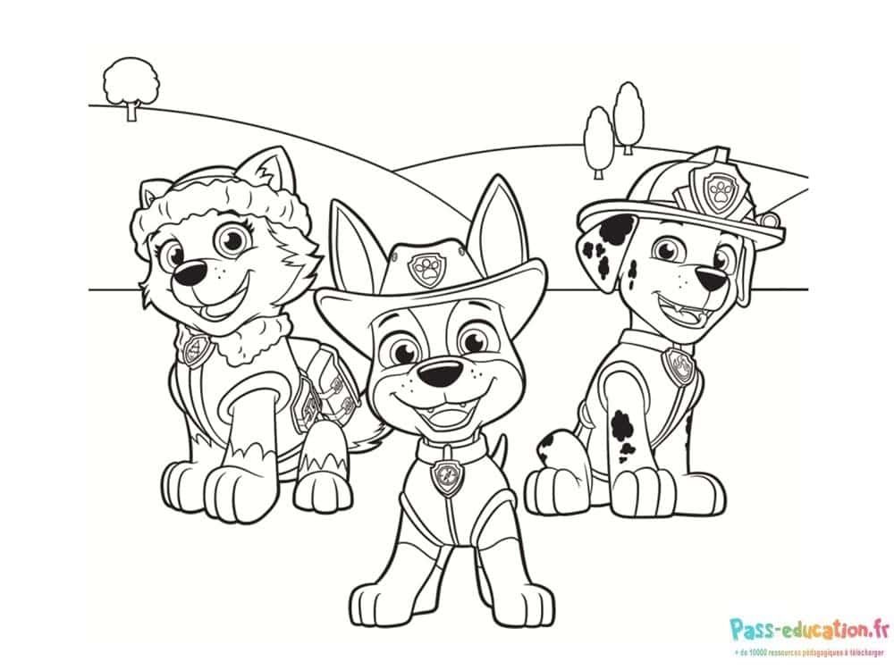Coloriage Pat' Patrouille à imprimer et colorier