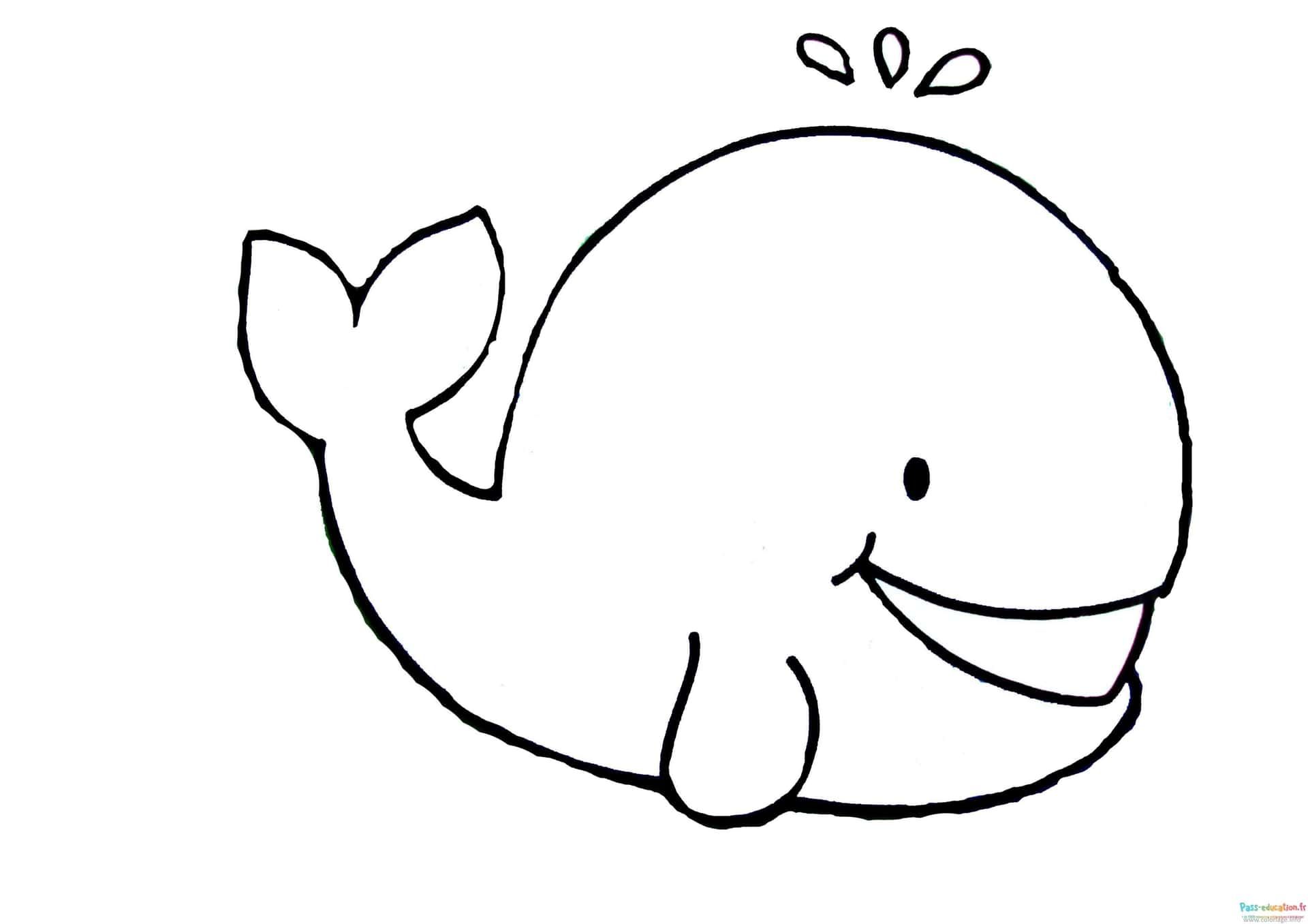 Coloriage Baleine souriante à imprimer et colorier