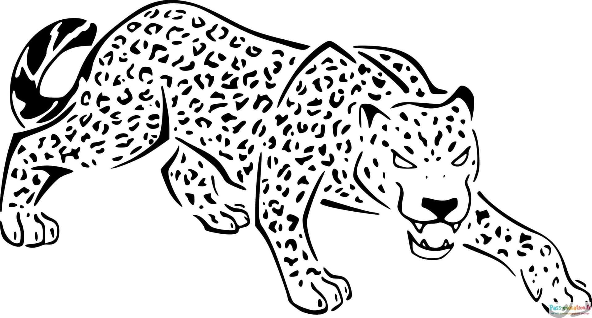 Coloriage Guépard en action à imprimer et colorier