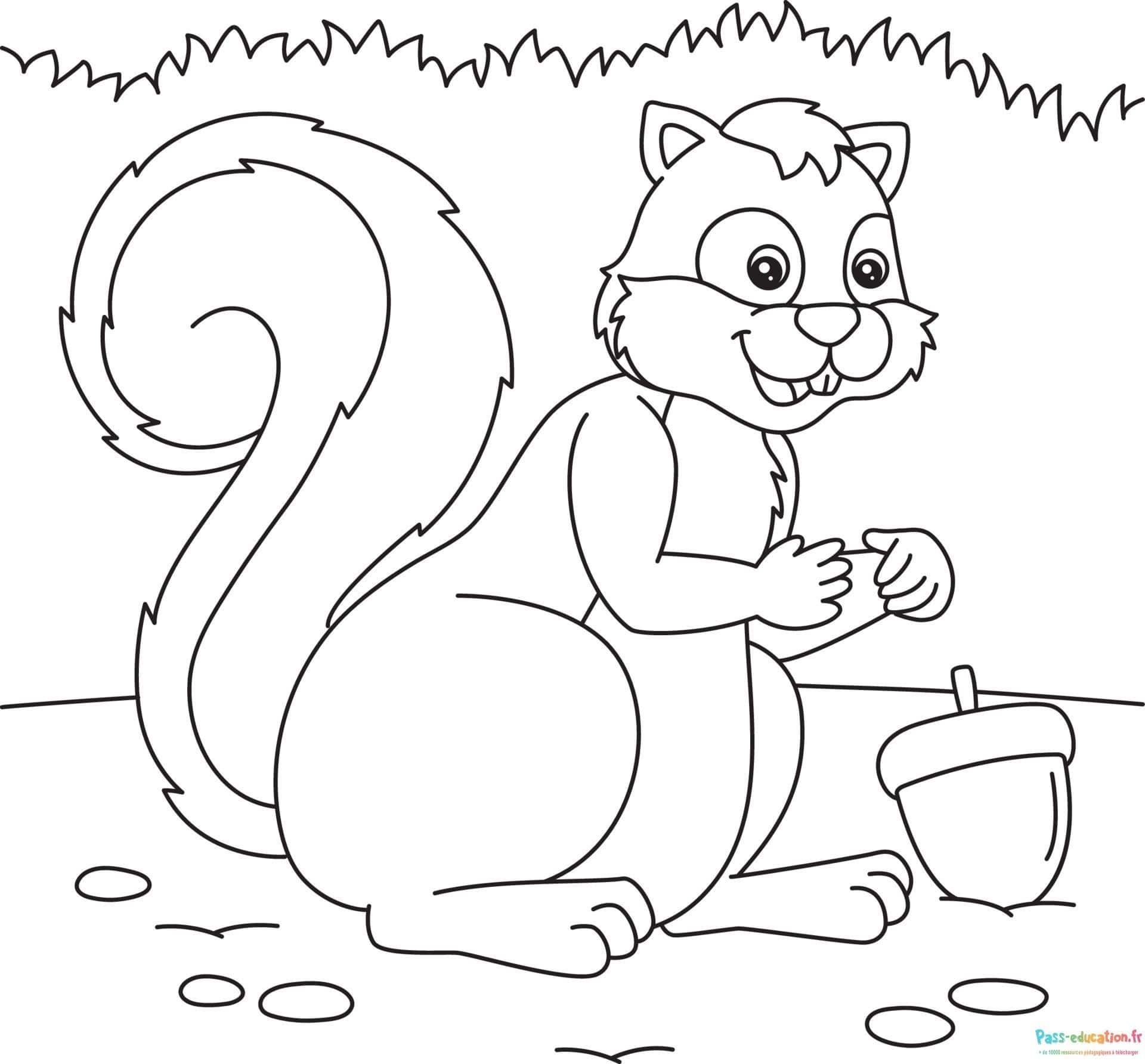 Coloriage Écureuil gourmand à imprimer et colorier