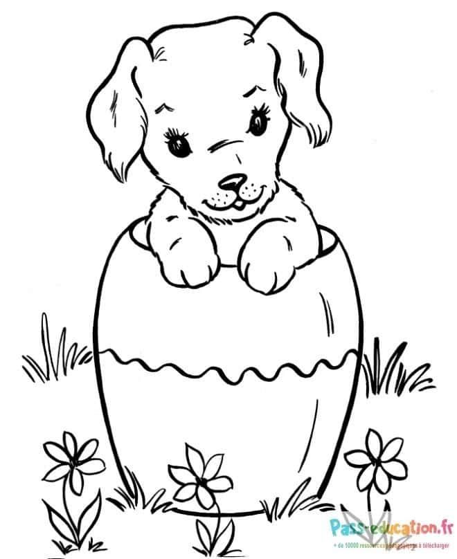 Coloriage Chiot dans œuf à imprimer et colorier