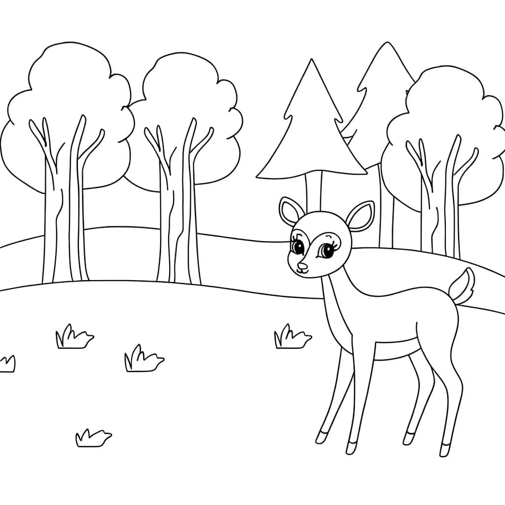 Coloriage Biche en forêt à imprimer et colorier