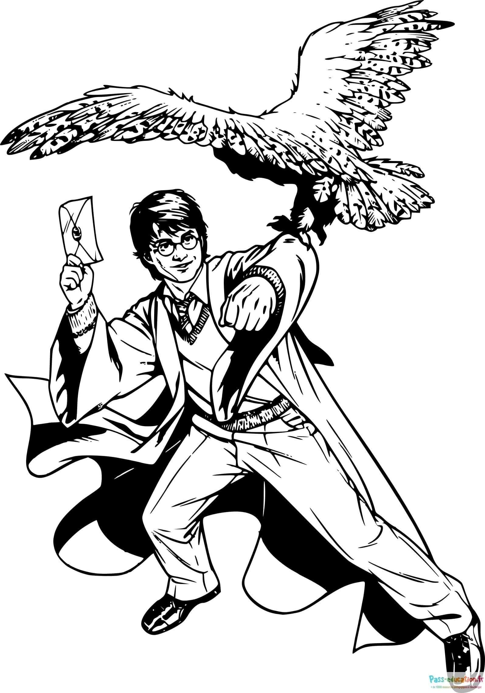 Coloriage Harry Potter et l'hippogriffe à imprimer et colorier