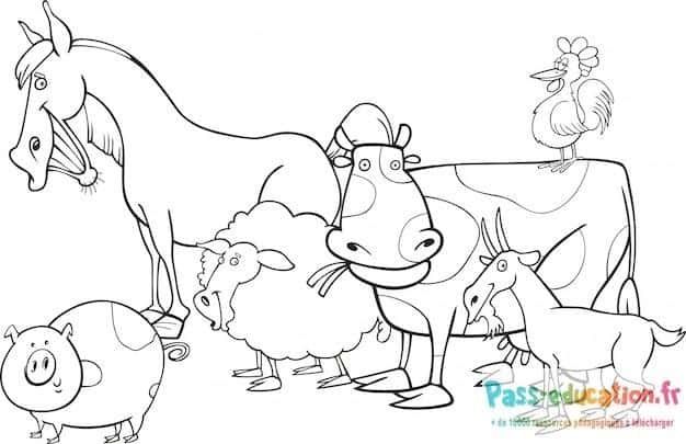 Coloriage Animaux de la ferme à imprimer et colorier