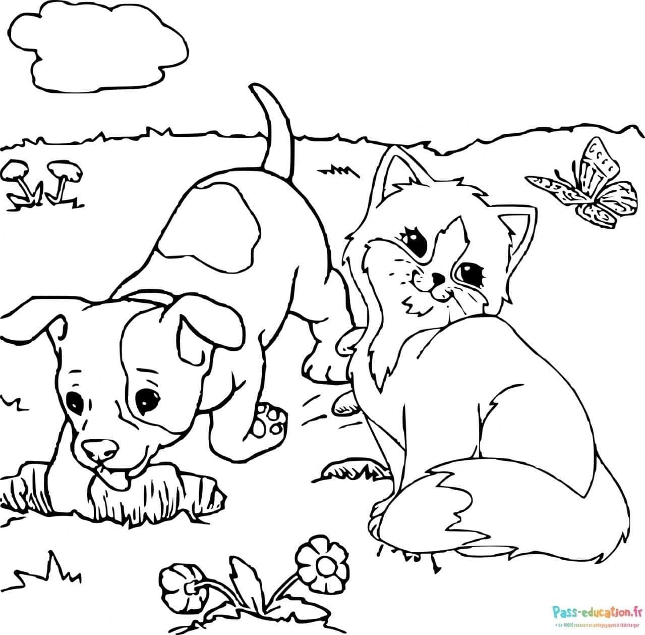 Coloriage Chien et chat à imprimer et colorier