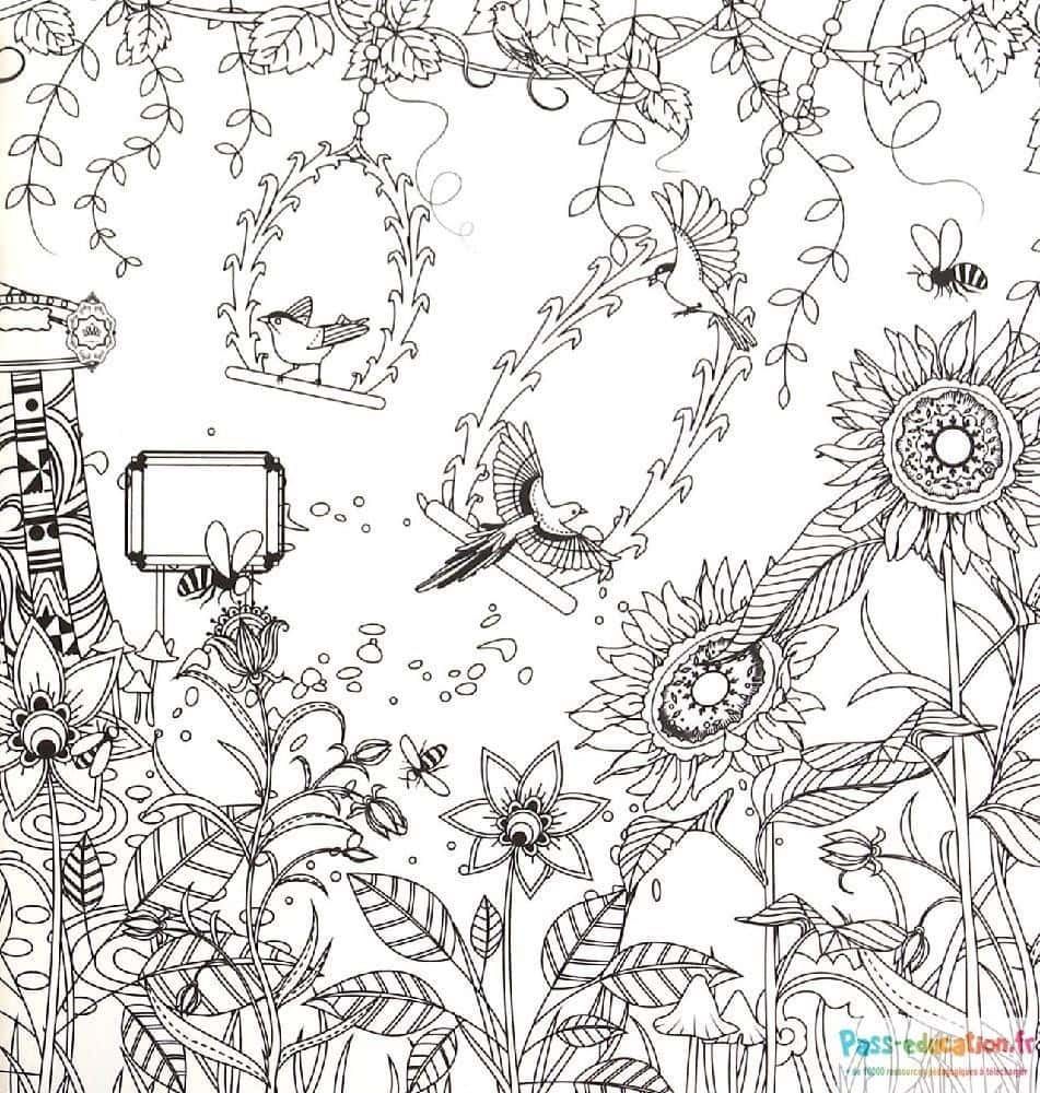 Coloriage Jardin enchanté à imprimer et colorier
