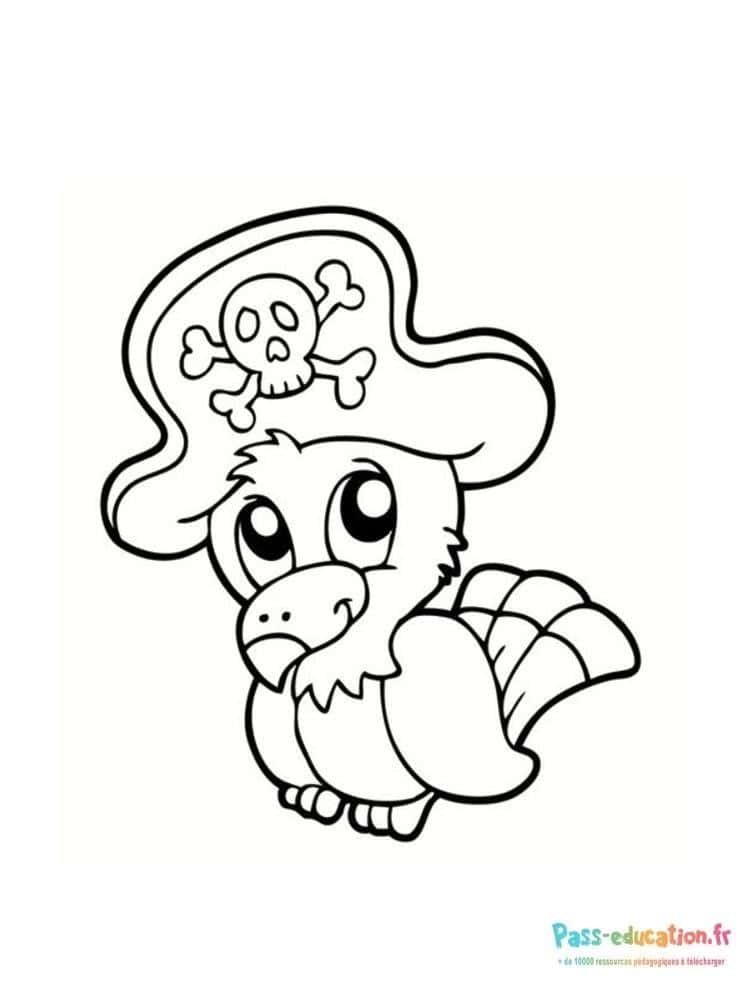 Coloriage Perroquet pirate à imprimer et colorier
