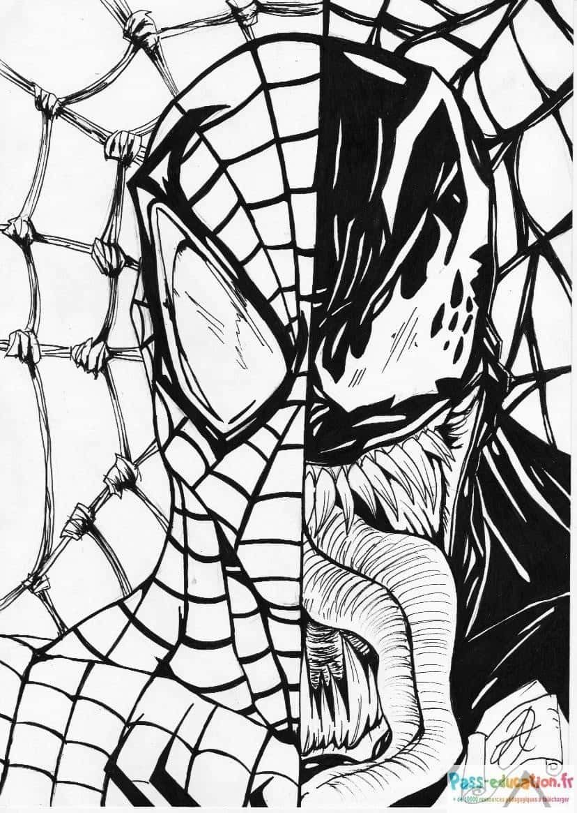 Coloriage Spider-Man contre Venom à imprimer et colorier
