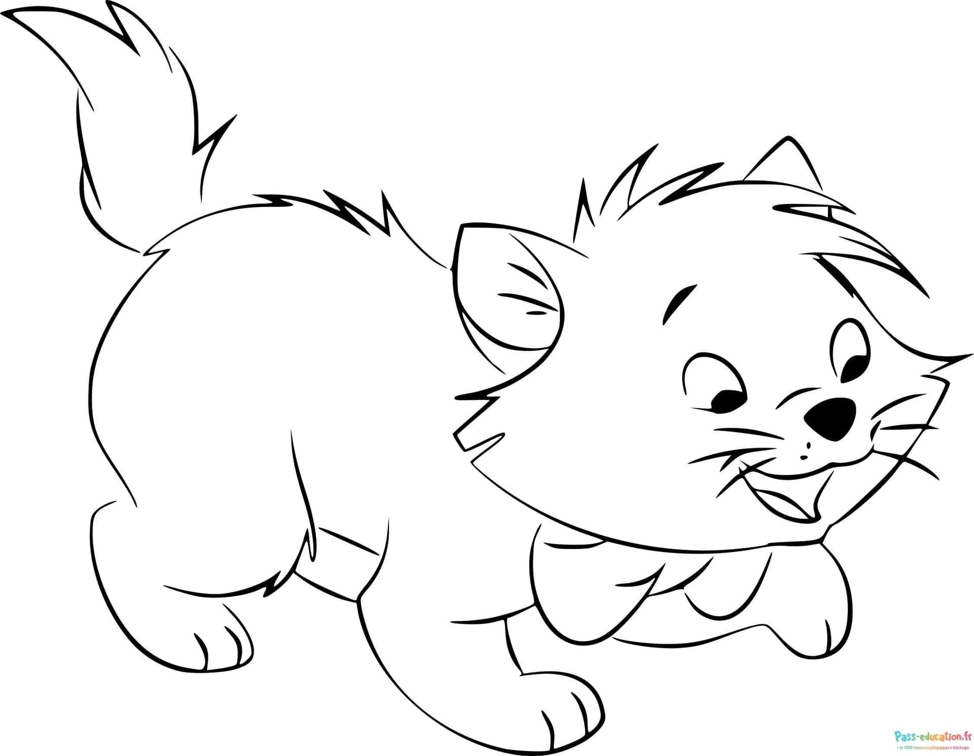 Coloriage Chaton jouant à imprimer et colorier