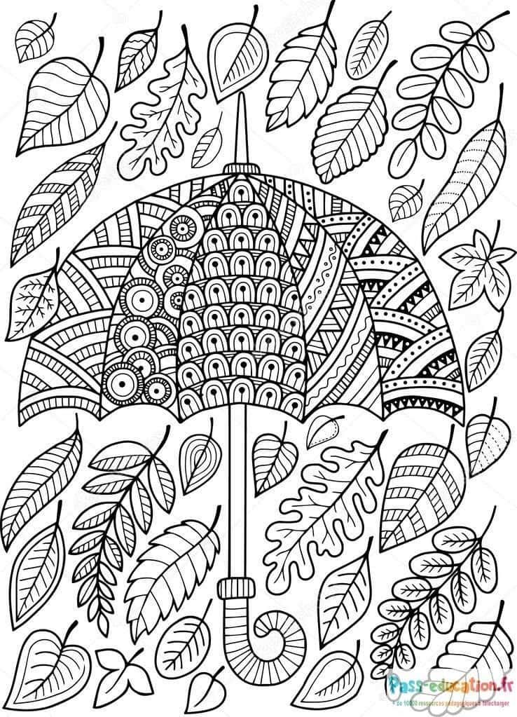 Coloriage Parapluie automnal à imprimer et colorier