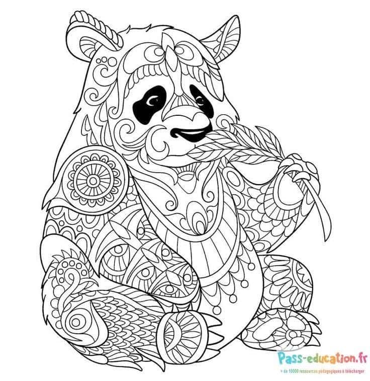 Coloriage Mandala Lama Mignon à imprimer et colorier