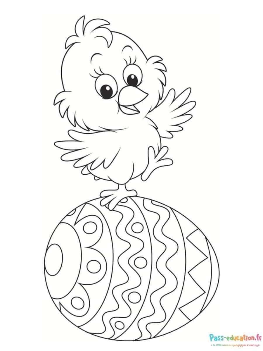 Coloriage Poussin sur œuf à imprimer et colorier