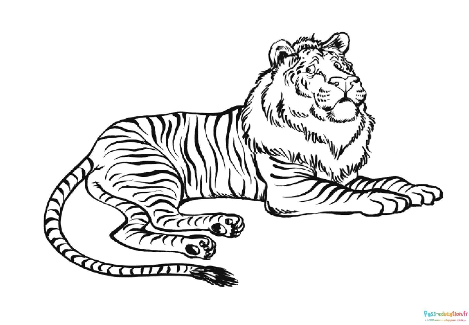 Coloriage Guépard reposant à imprimer et colorier