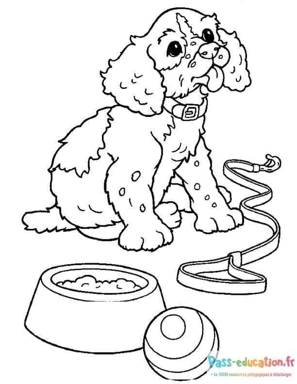 Coloriage Chiot mélancolique à imprimer et colorier