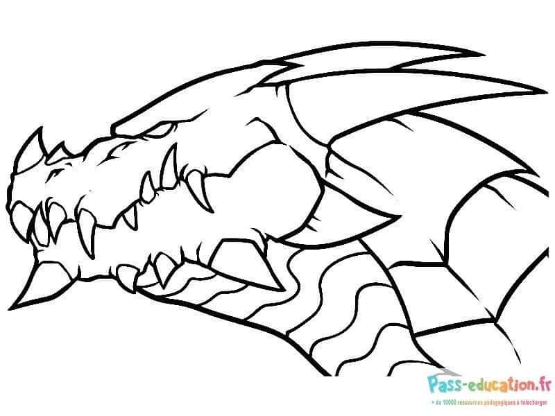 Coloriage Dragon féroce à imprimer et colorier