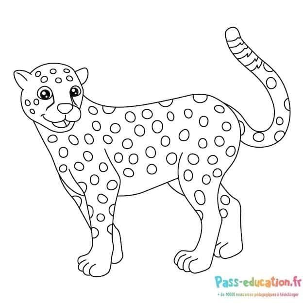 Coloriage Guépard souriant à imprimer et colorier