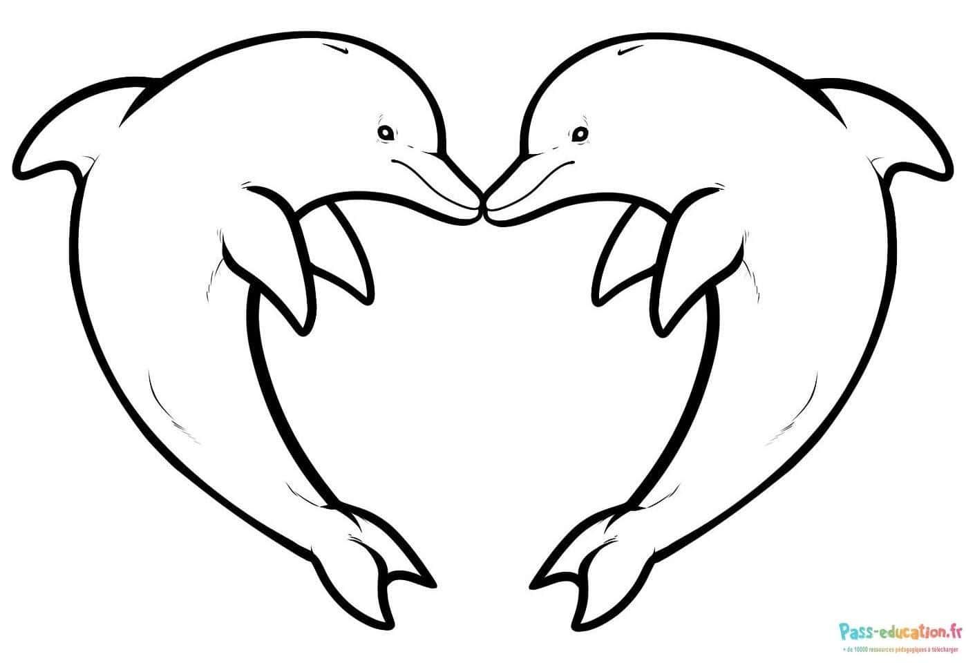 Coloriage Deux dauphins amicaux à imprimer et colorier