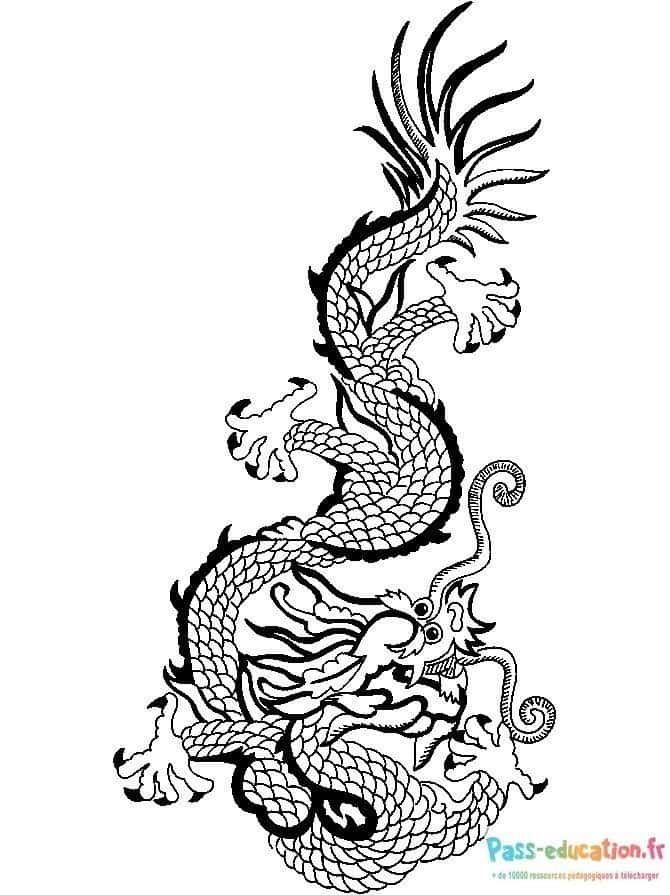 Coloriage Dragon japonais à imprimer et colorier