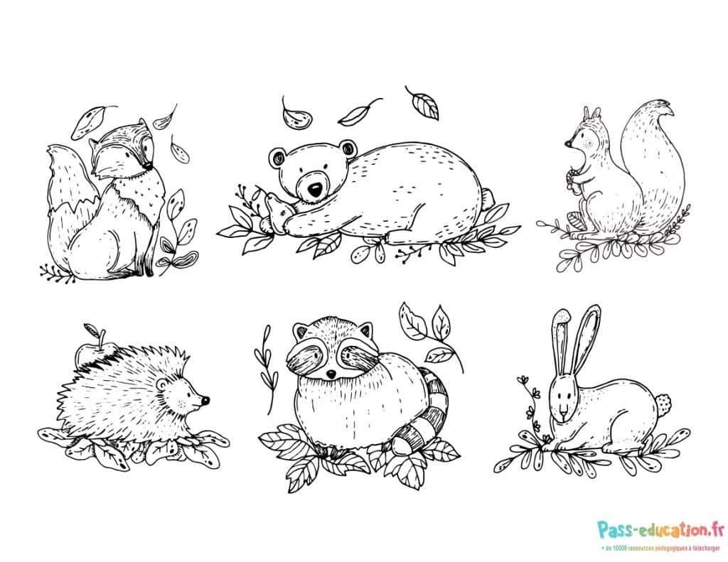 Coloriage Animaux de la forêt à imprimer et colorier