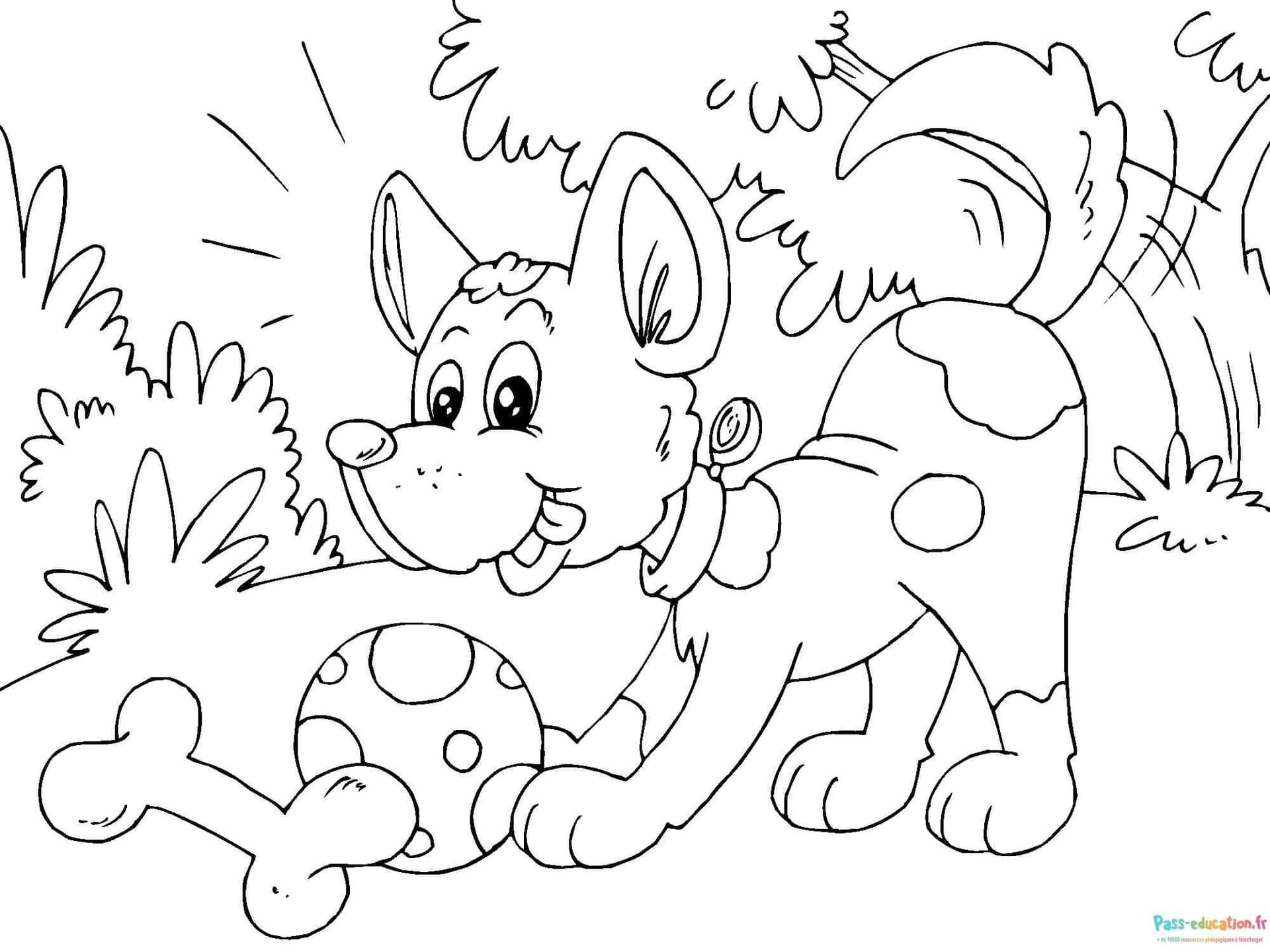 Coloriage Chiot et jouets à imprimer et colorier