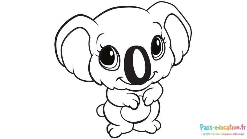 Coloriage Dessin koala à imprimer et colorier
