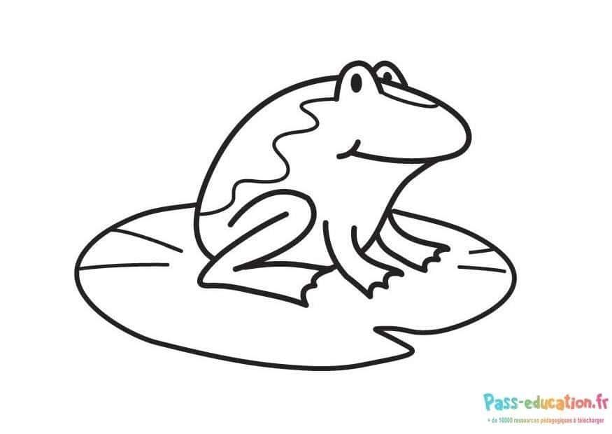 Coloriage Grenouille sur nénuphar à imprimer et colorier