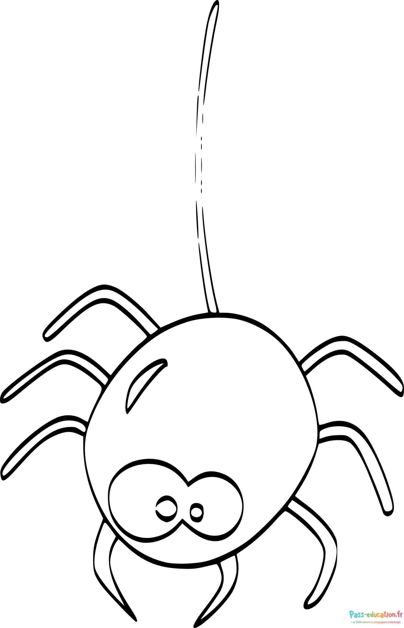 Coloriage Araignée rigolote à imprimer et colorier