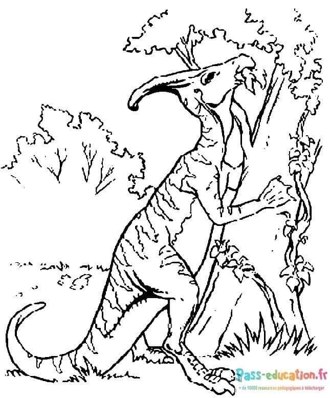 Coloriage Dinosaure préhistorique à imprimer et colorier