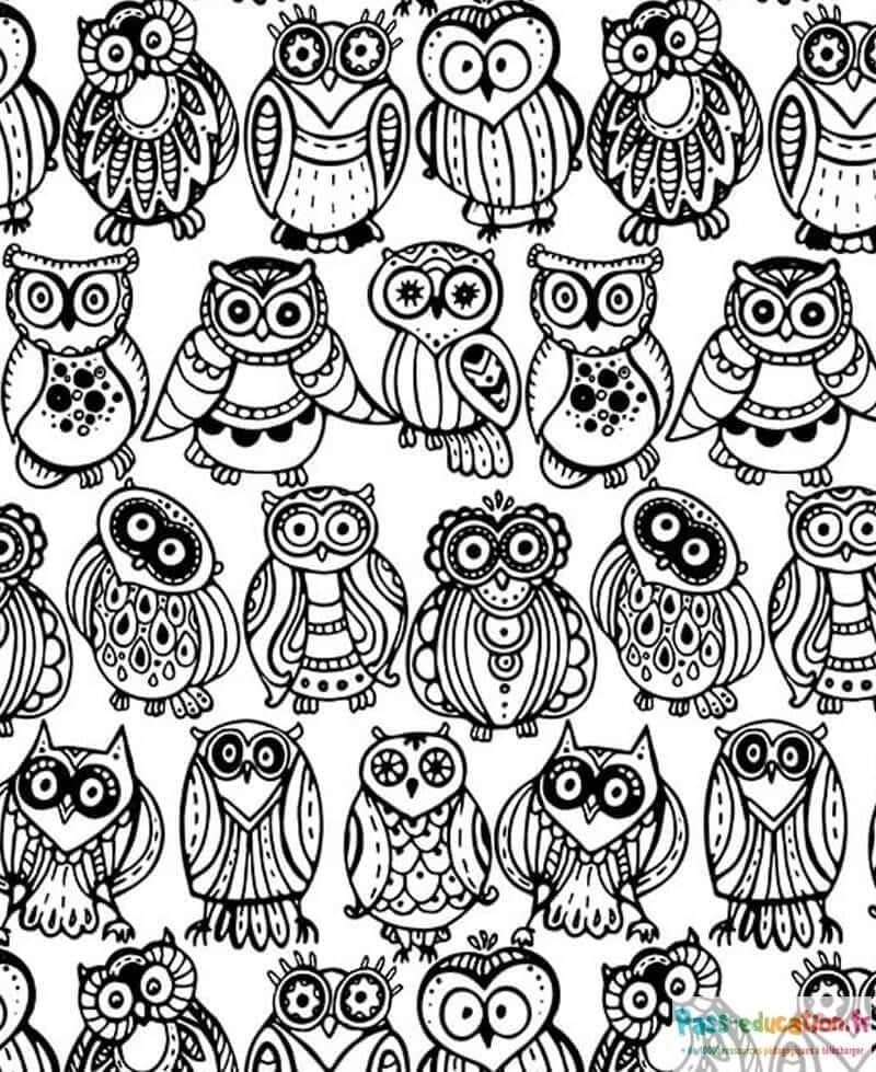 Coloriage Chouettes rigolotes à imprimer et colorier