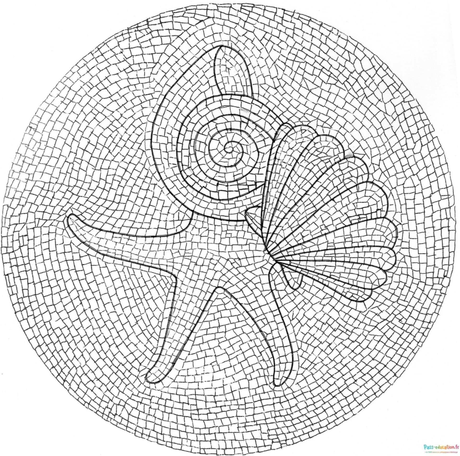 Coloriage Spirale marine à imprimer et colorier