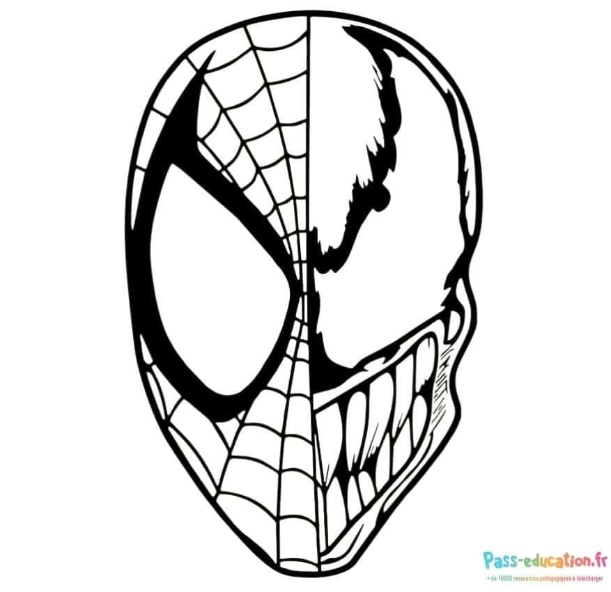 Coloriage Demi-Spiderman Demi-Venom à imprimer et colorier