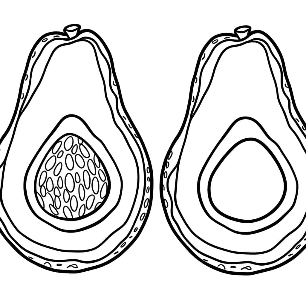 Coloriage Demi-avocats à imprimer et colorier
