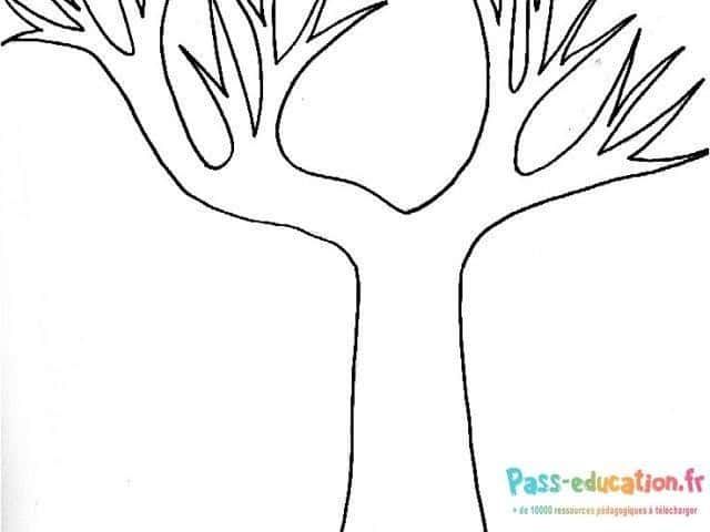 Coloriage Arbre sans feuilles à imprimer et colorier