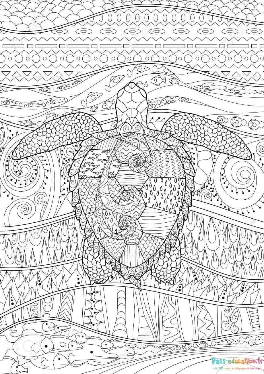 Coloriage Tortue marine à imprimer et colorier