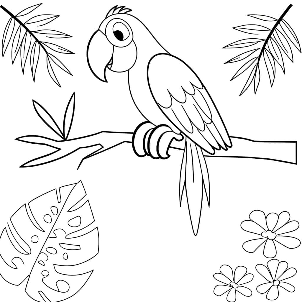 Coloriage Perroquet en attente à imprimer et colorier