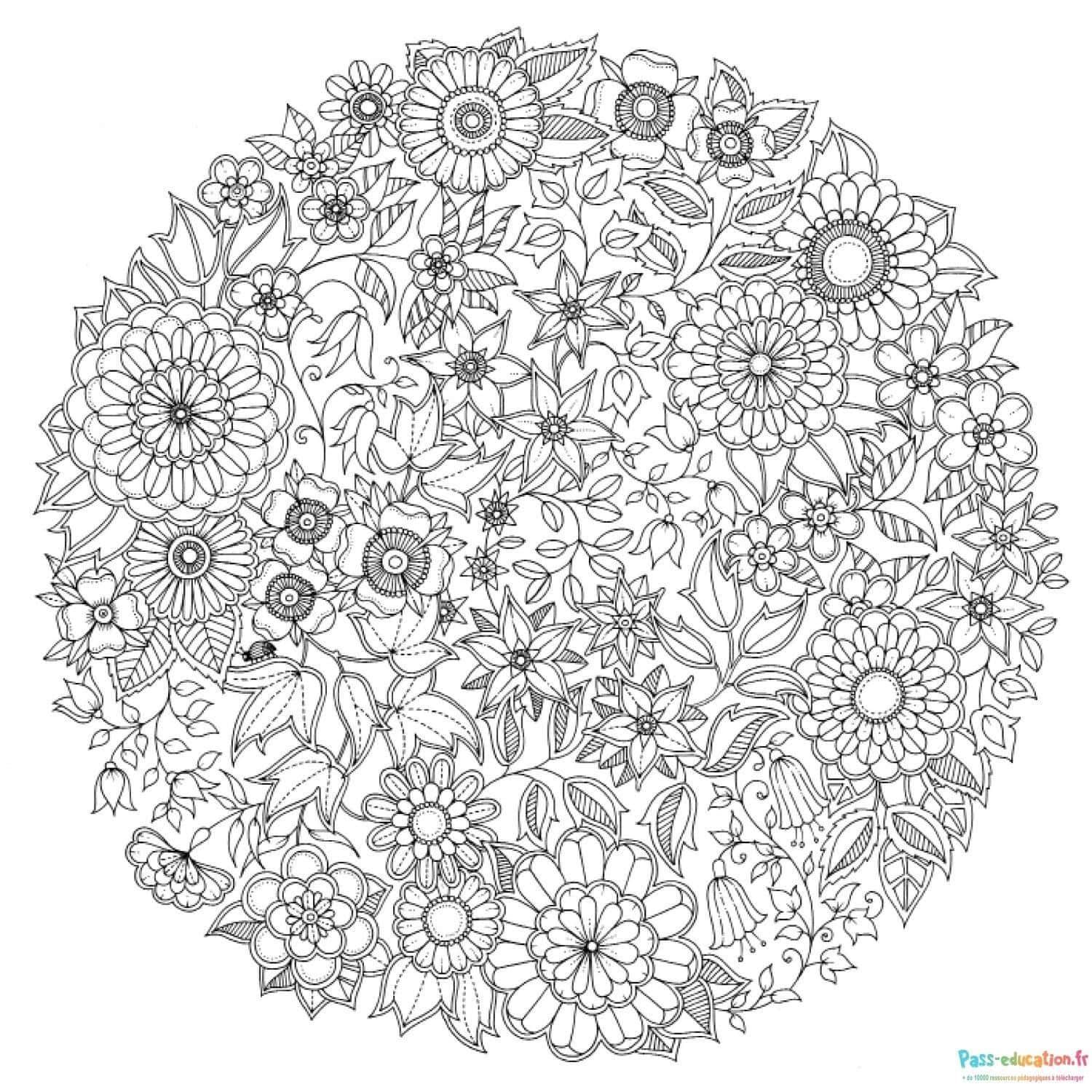 Coloriage Jardin fleuri à imprimer et colorier