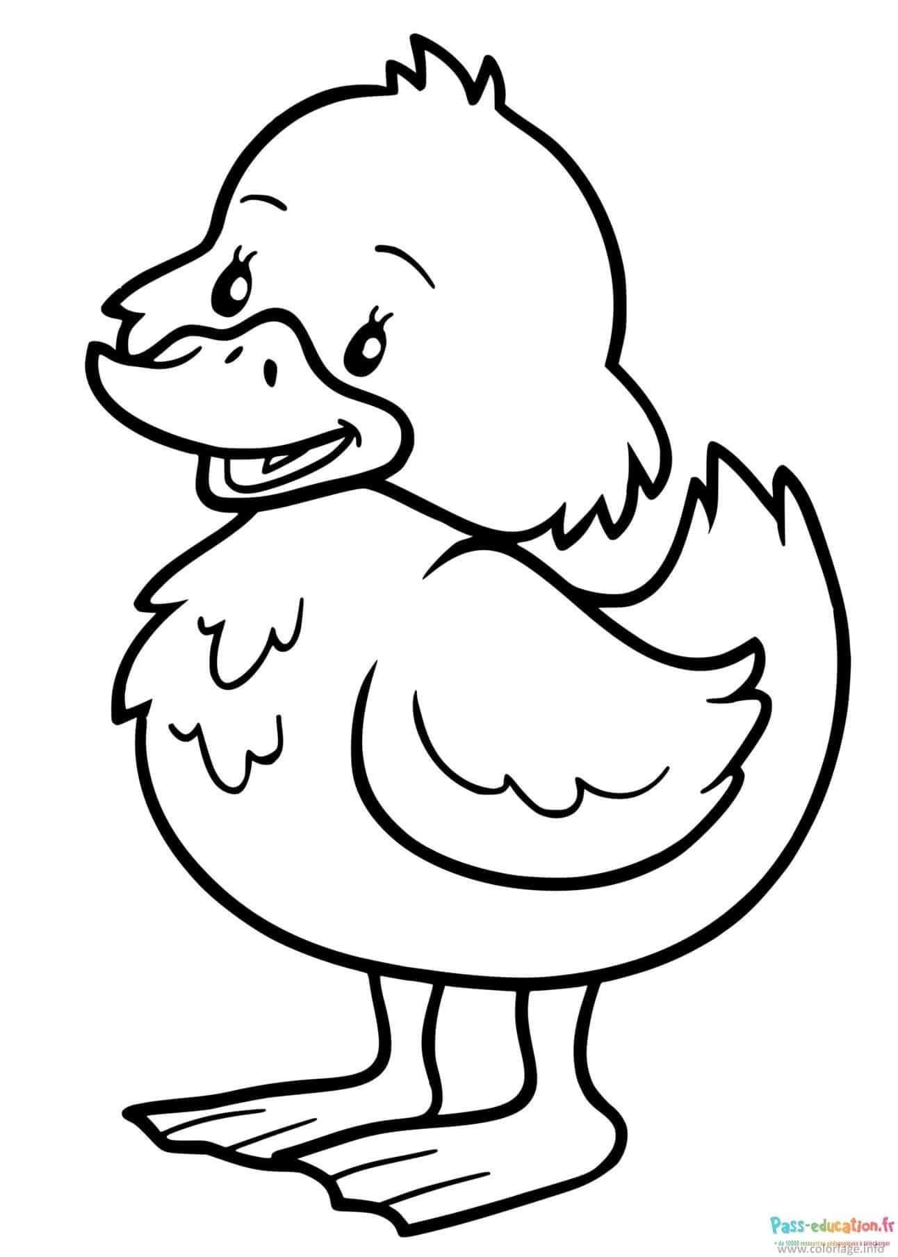 Coloriage Canard souriant à imprimer et colorier