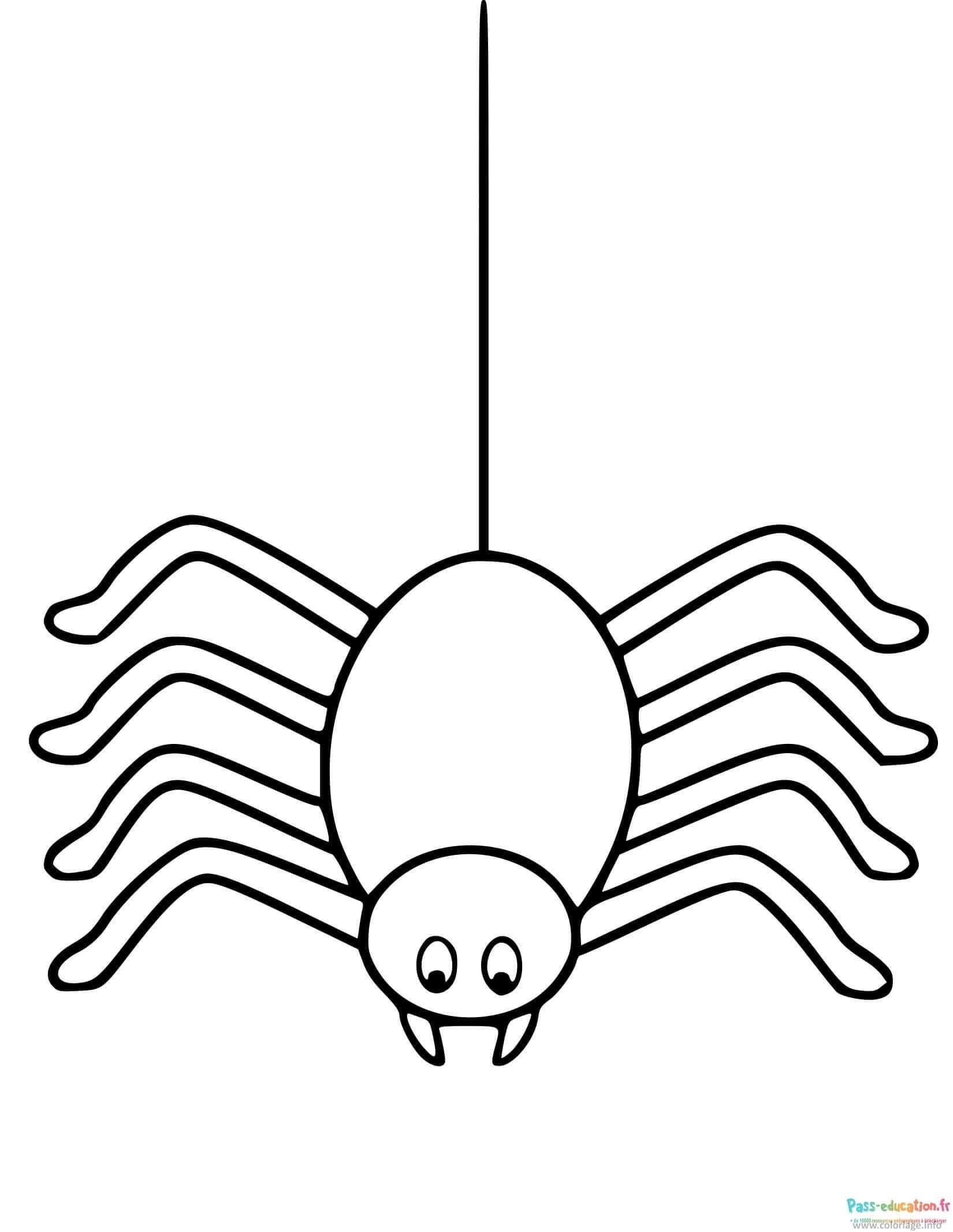 Coloriage Araignée suspendue à imprimer et colorier