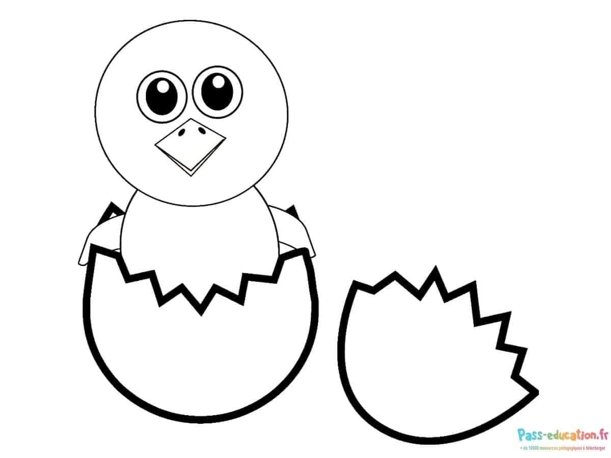 Coloriage Poussin dans œuf à imprimer et colorier