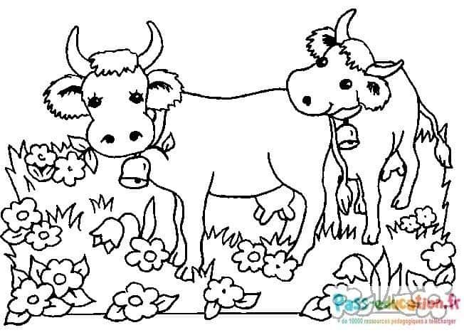 Coloriage Vaches au pré à imprimer et colorier