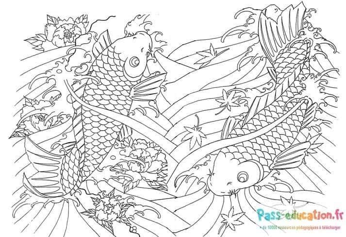 Coloriage Carpe koi japonaise à imprimer et colorier