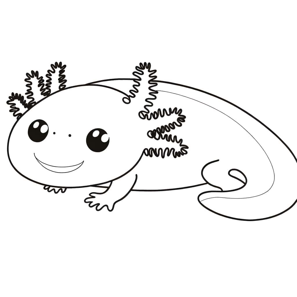 Coloriage Axolotl souriant à imprimer et colorier