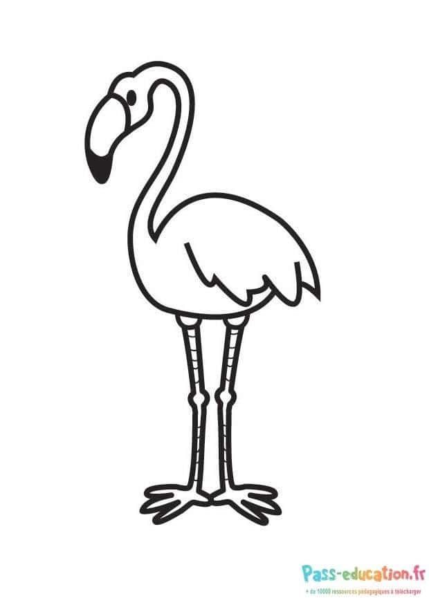 Coloriage Flamant rose à imprimer et colorier