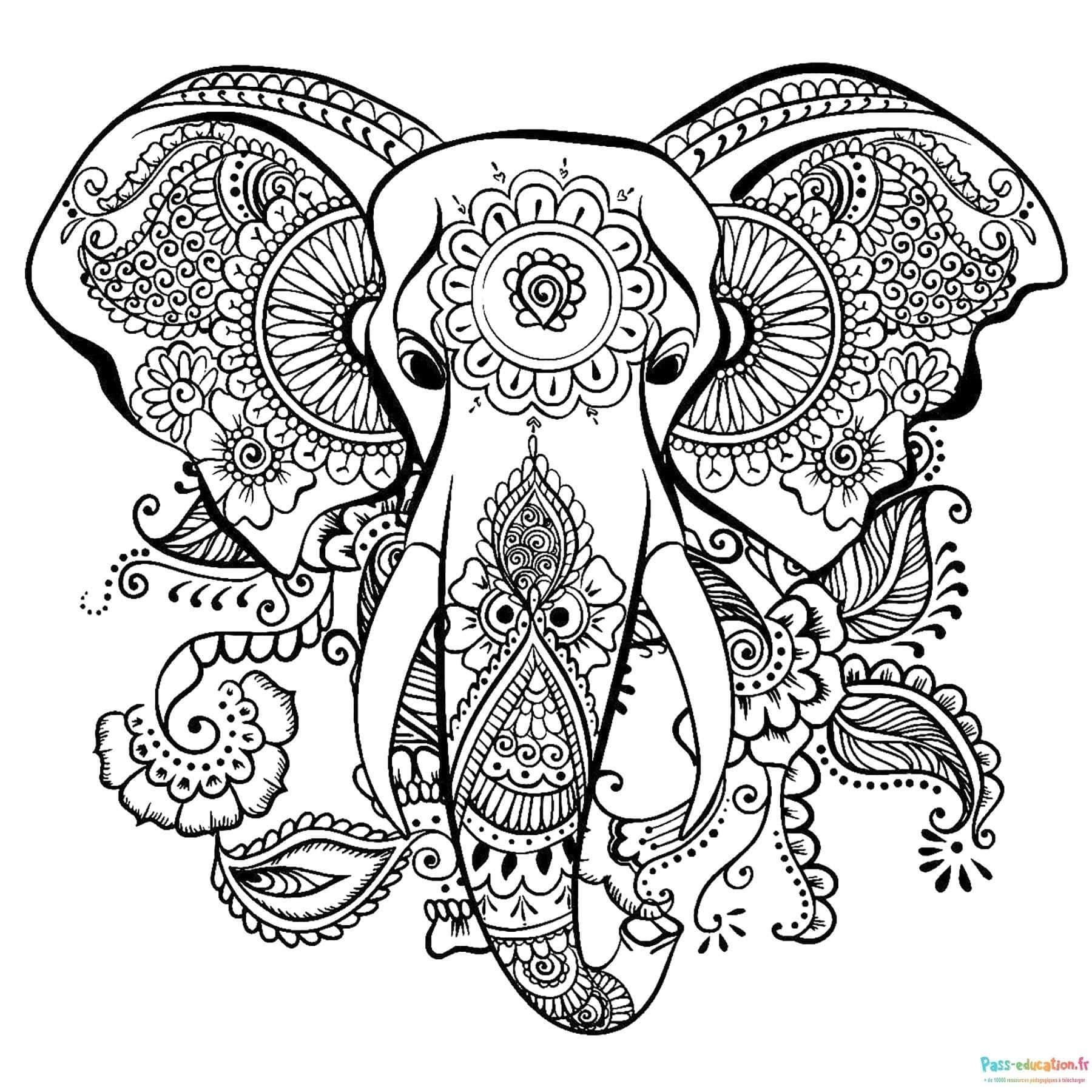 Coloriage Éléphant Mandala à imprimer et colorier