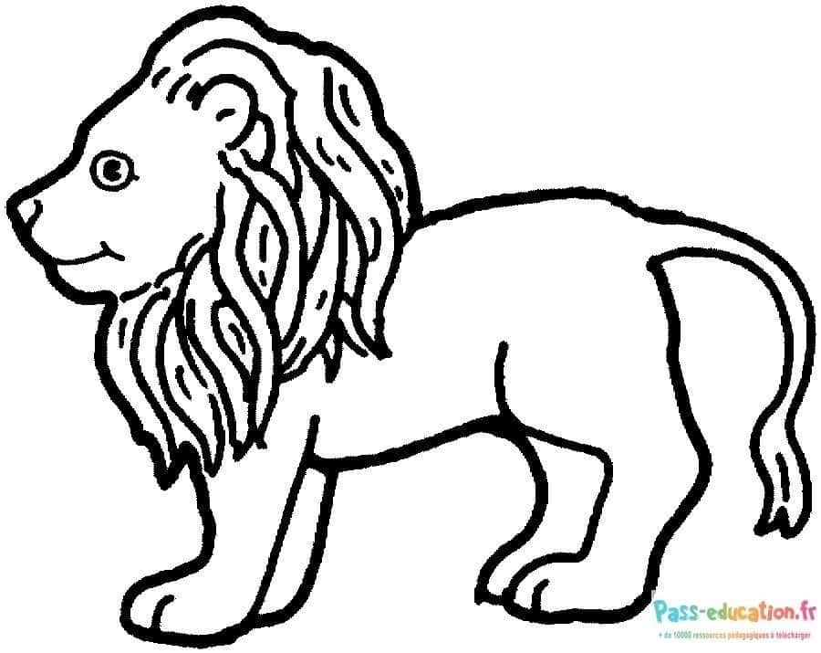 Coloriage Lion majestueux à imprimer et colorier