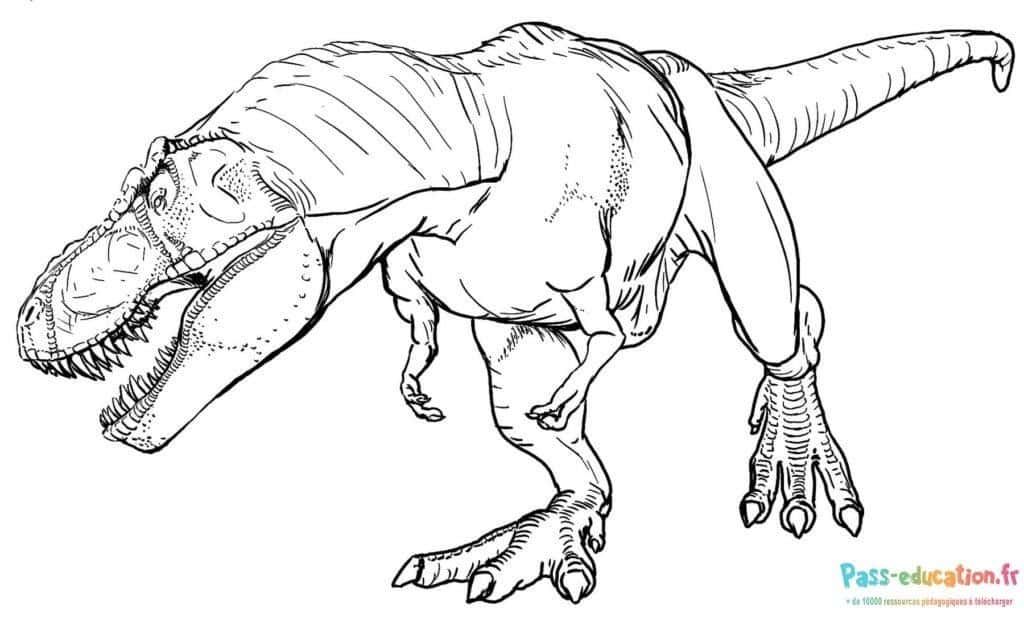 Coloriage T-Rex préhistorique à imprimer et colorier
