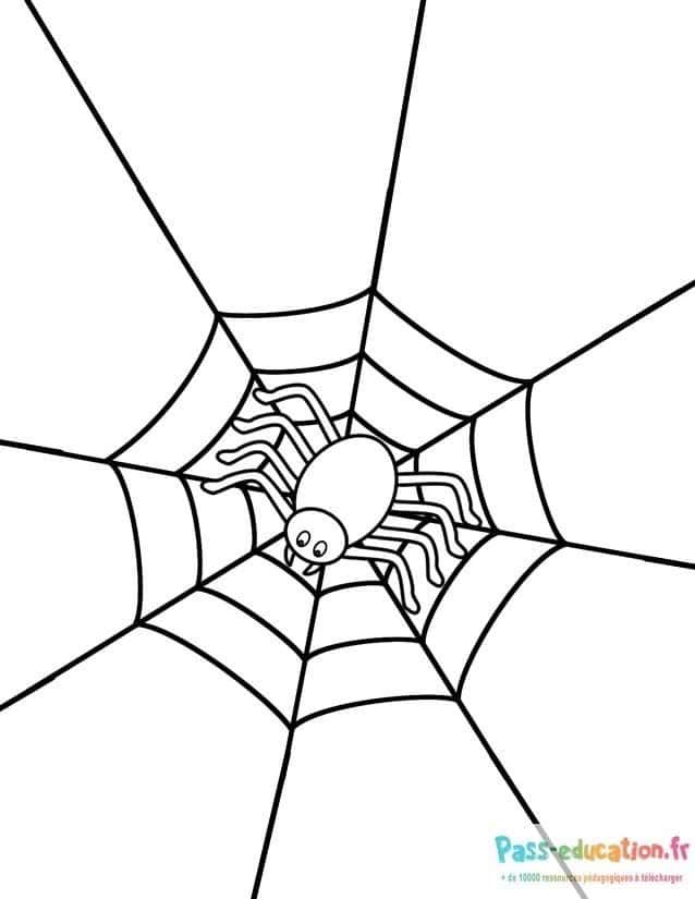 Coloriage Araignée dans sa toile à imprimer et colorier